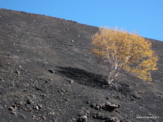 nte Corvo-01-11-2012 11-12-42
